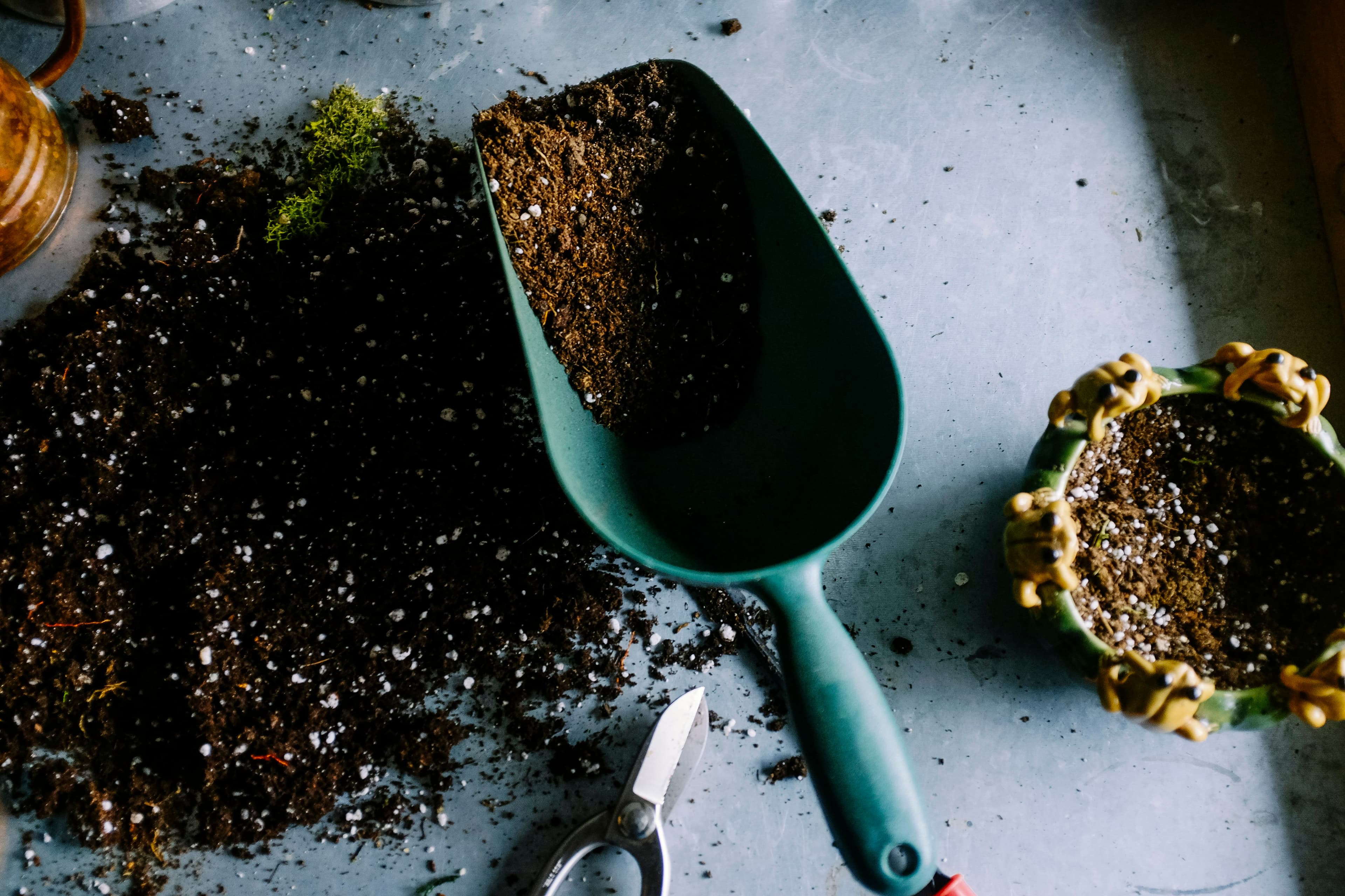 Column: Spring Renewal and the Life Lessons of Gardening